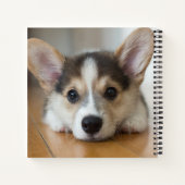 Carnet Animaux de bébés cutest | Corgi Puppy (Dos)