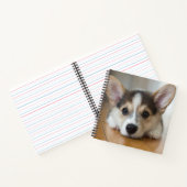 Carnet Animaux de bébés cutest | Corgi Puppy (Intérieur)
