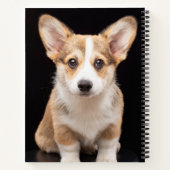 Carnet Animaux de bébés cutest | Corgi Puppy Standing Hau (Dos)