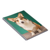 Carnet Animaux de bébés cutest | Corgi sur Turquoise (Côté Droit)