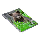 Carnet Animaux de bébés cutest | Cube d'ours Brown (Côté Droit)