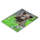 Carnet Animaux de bébés cutest | Cube d'ours Brown (Côté gauche)