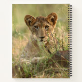 Carnet Animaux de bébés cutest | Cute Baby Lion Cub (Dos)
