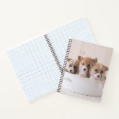 Carnet Animaux de bébés cutest | Cute Corgi Chipies dans  (Intérieur)