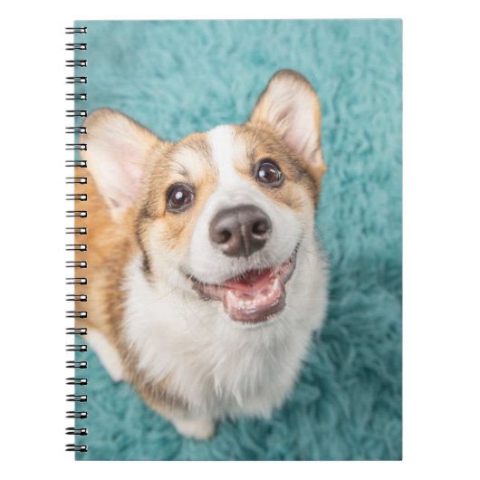 Carnet Animaux de bébés cutest | Cute Corgi Puppy Smile (Devant)