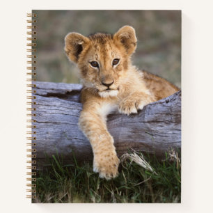 Carnet Animaux de bébés cutest Cute Lion Cub