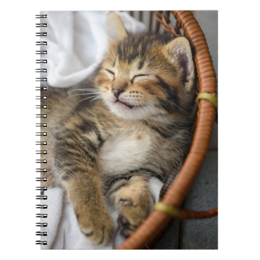 Carnet Animaux de bébés cutest | Cute Tabby Chat Dormir (Devant)