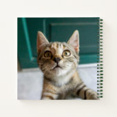 Carnet Animaux de bébés cutest | Cute Tabby Kitten (Dos)