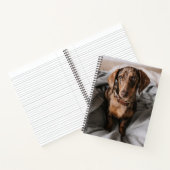 Carnet Animaux de bébés cutest | Dachshund Dachshund Dach (Intérieur)