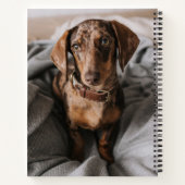 Carnet Animaux de bébés cutest | Dachshund Dachshund Dach (Dos)