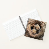 Carnet Animaux de bébés cutest | Deux jeunes écureuils (Intérieur)