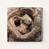 Carnet Animaux de bébés cutest | Deux jeunes écureuils (Dos)