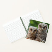Carnet Animaux de bébés cutest | Deux jeunes hiboux (Intérieur)