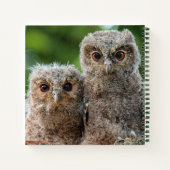 Carnet Animaux de bébés cutest | Deux jeunes hiboux (Dos)