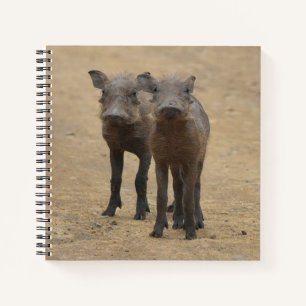 Carnet Animaux de bébés cutest Deux jeunes phacochères