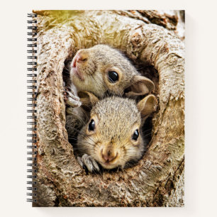 Carnet Animaux de bébés cutest Écureuils curieux