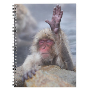 Carnet Animaux de bébés cutest Face de singe de neige