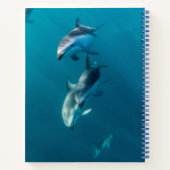 Carnet Animaux de bébés cutest | Famille de dauphins (Dos)