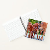 Carnet Animaux de bébés cutest | Fawn with Babies (Intérieur)