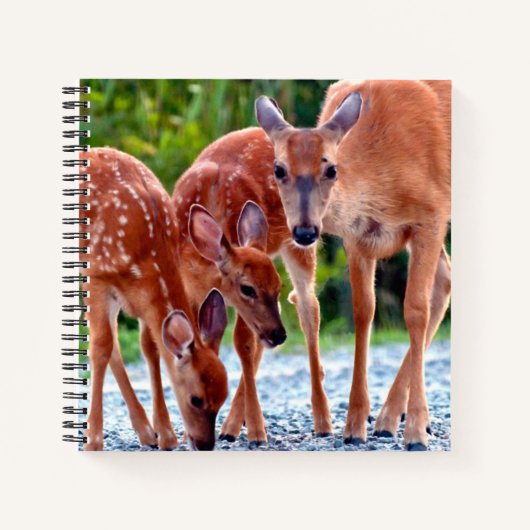 Carnet Animaux de bébés cutest | Fawn with Babies (Devant)