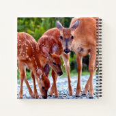 Carnet Animaux de bébés cutest | Fawn with Babies (Dos)