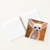 Carnet Animaux de bébés cutest | Fennec Fox (Intérieur)