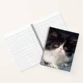 Carnet Animaux de bébés cutest | Fluffy B&W Kitten (Intérieur)