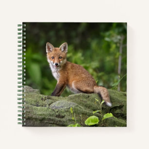 Carnet Animaux de bébés cutest Foxy Smile