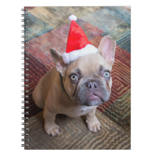 Carnet Animaux de bébés cutest   French Bulldog Christmas