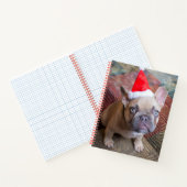Carnet Animaux de bébés cutest | French Bulldog Christmas (Intérieur)