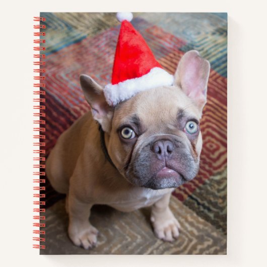 Carnet Animaux de bébés cutest | French Bulldog Christmas (Devant)