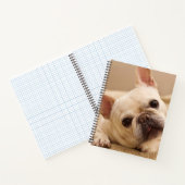 Carnet Animaux de bébés cutest | French Bulldog Head Tilt (Intérieur)