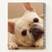 Carnet Animaux de bébés cutest | French Bulldog Head Tilt (Dos)