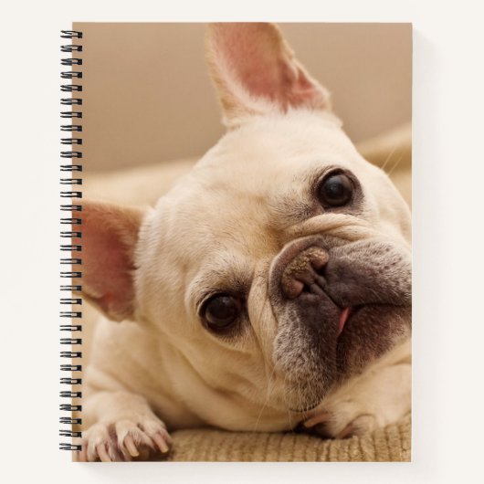 Carnet Animaux de bébés cutest | French Bulldog Head Tilt (Devant)
