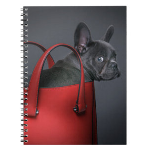 Carnet Animaux de bébés cutest French Bulldog Red Hand