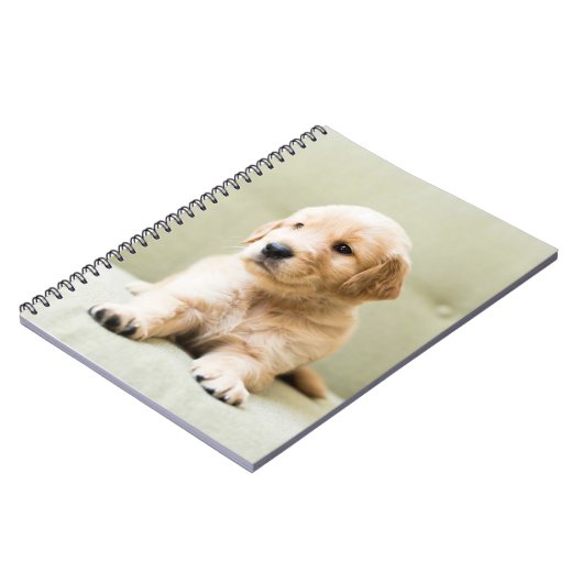 Carnet Animaux de bébés cutest | Golden Retriever Puppy (Côté gauche)