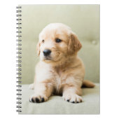 Carnet Animaux de bébés cutest | Golden Retriever Puppy (Devant)