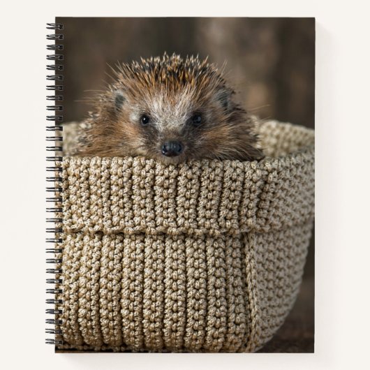 Carnet Animaux de bébés cutest | Hérisson dans un panier (Devant)