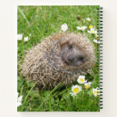 Carnet Animaux de bébés cutest | Hérisson espagnol (Dos)