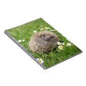 Carnet Animaux de bébés cutest | Hérisson espagnol (Côté Droit)