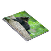 Carnet Animaux de bébés cutest | Jeune ours Ours Noir (Côté Droit)