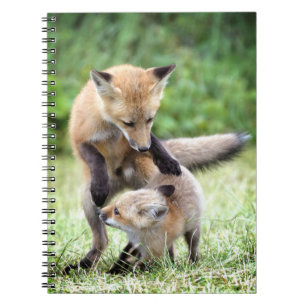 Carnet Animaux de bébés cutest Kit et maman Fox adorabl