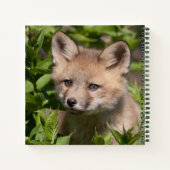 Carnet Animaux de bébés cutest | Kit Fox (Dos)