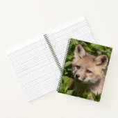 Carnet Animaux de bébés cutest | Kit Fox (Intérieur)