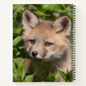 Carnet Animaux de bébés cutest | Kit Fox (Dos)