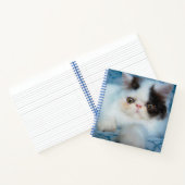 Carnet Animaux de bébés cutest | Kitten noir et blanc (Intérieur)