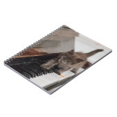 Carnet Animaux de bébés cutest | Kitten sur piano (Côté gauche)