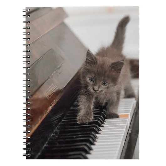Carnet Animaux de bébés cutest | Kitten sur piano (Devant)