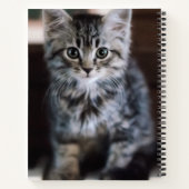 Carnet Animaux de bébés cutest | Kitten sur Touches de pi (Dos)