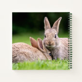 Carnet Animaux de bébés cutest | Lapins de lapin sauvage (Dos)
